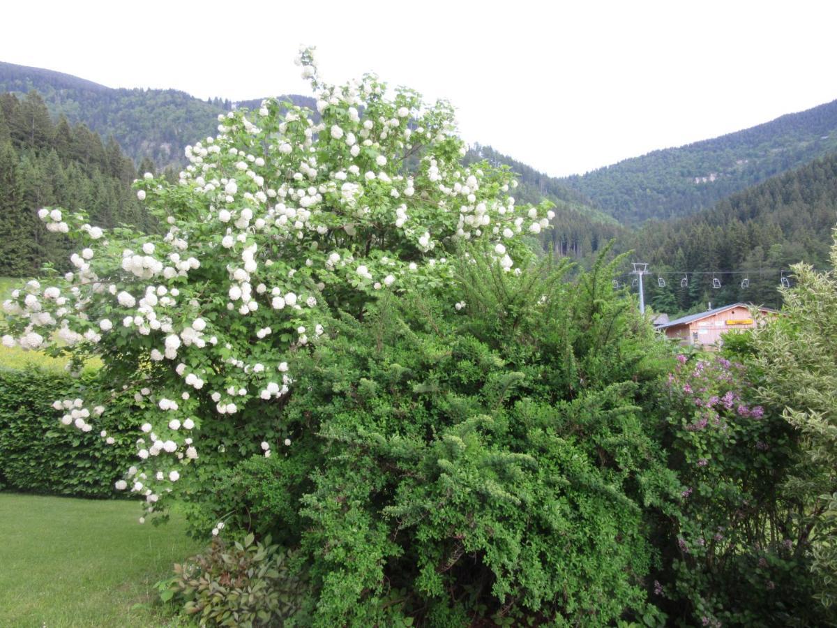 Appartamento Haus Margarete Lackenhof Esterno foto